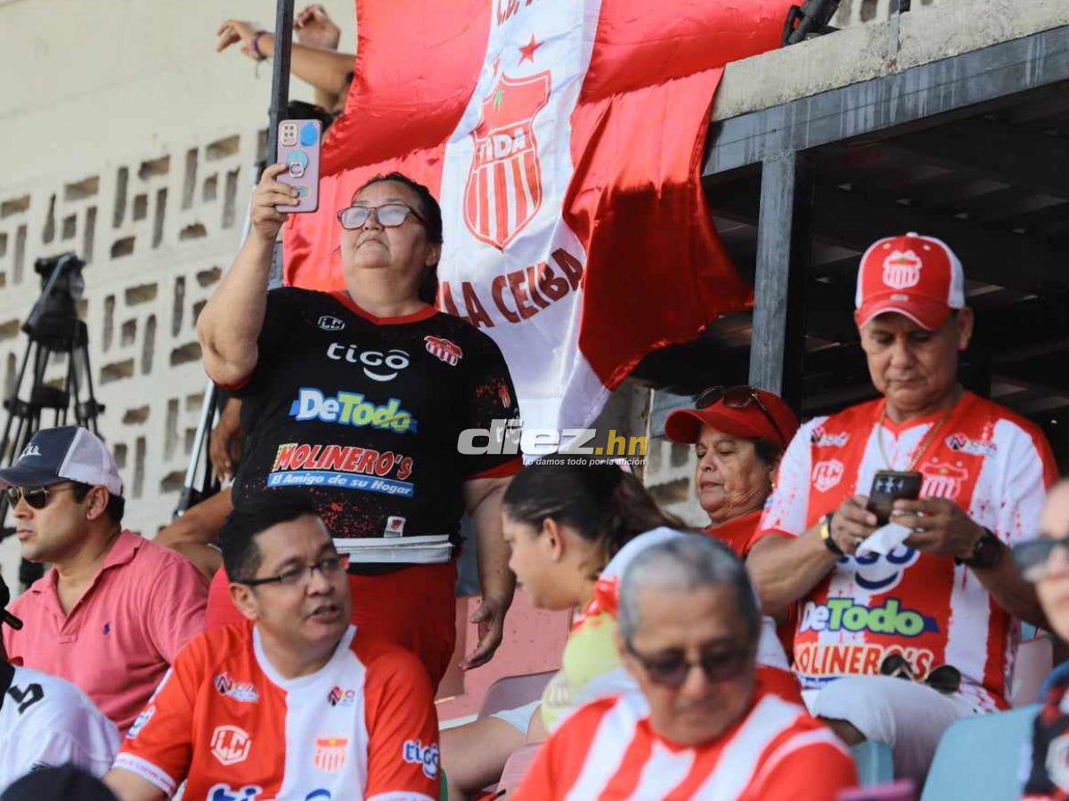 El dardo de Clever Portillo a UPN, la bronca que se armó y la fiesta del Vida tras dar un paso a la salvación