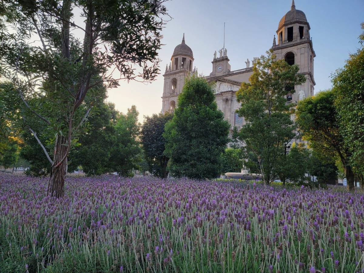 Ya estamos en Toluca: así es la ciudad donde Honduras buscará eliminar a México en la Nations League