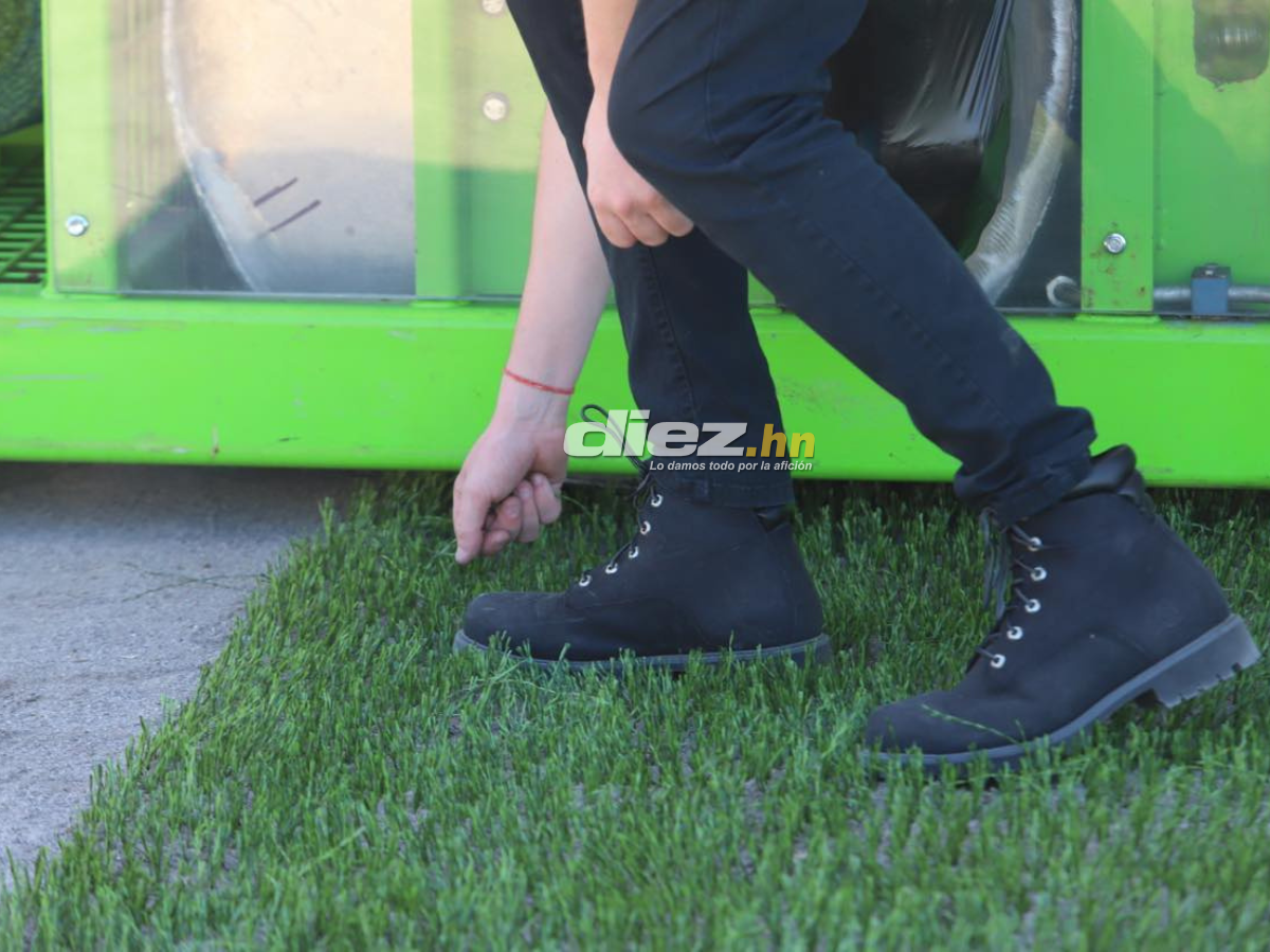 ¡Como mesa de billar! Así avanza la instalación de la nueva grama del Estadio Nacional Chelato Uclés, ¿cuándo quedaría lista?