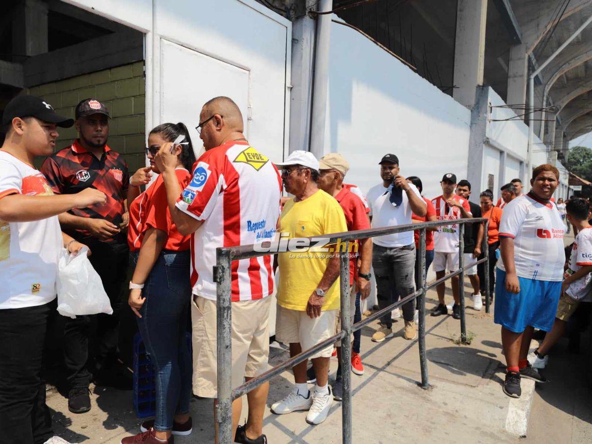 Marea Roja en La Ceiba, bellas hinchas del Vida invaden y aficionado se roba el show con extraño vestuario