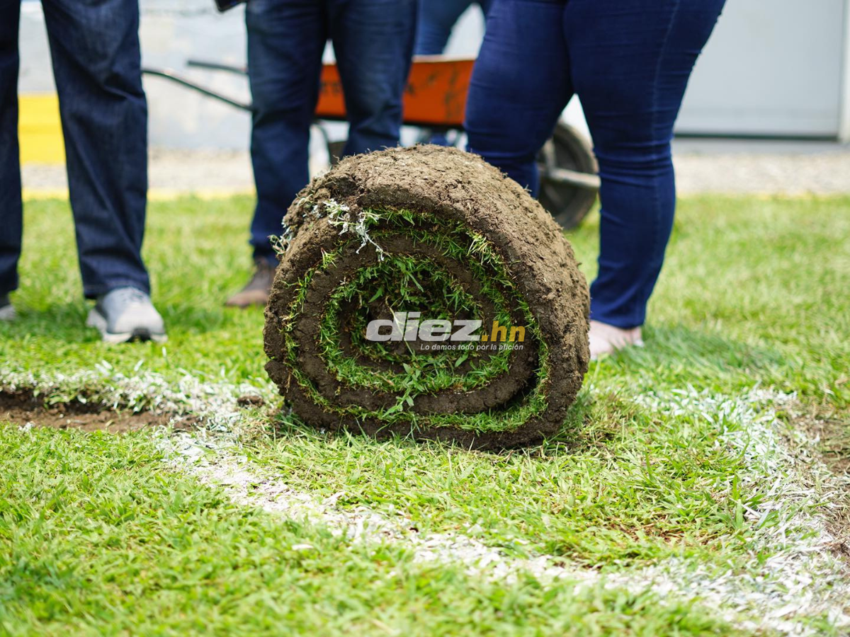 Adiós a la pesadilla: El Estadio Morazán se despide de la grama vieja para instalar engramillado de primer mundo