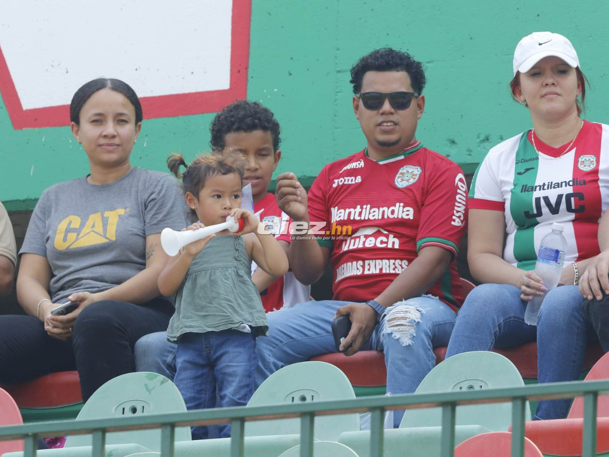 Las bellas aficionadas del Marathón, el Yankel Rosenthal sin “luz” y la espantosa lesión de Clayvin Zúniga