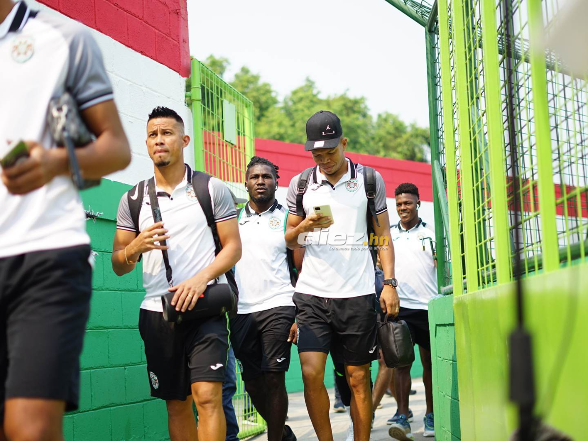 Las bellas aficionadas del Marathón, el Yankel Rosenthal sin “luz” y la espantosa lesión de Clayvin Zúniga