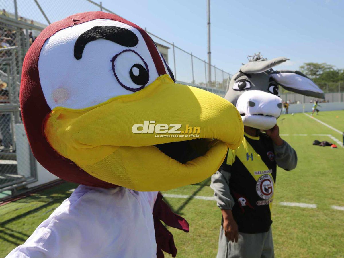 ¡Llegaron los “Burritos”! Las hermosas chicas del Génesis que no conocías, la sorpresa del nuevo inquilino y la bella colocha del Motagua