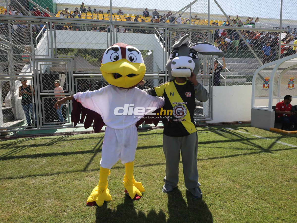 ¡Llegaron los “Burritos”! Las hermosas chicas del Génesis que no conocías, la sorpresa del nuevo inquilino y la bella colocha del Motagua