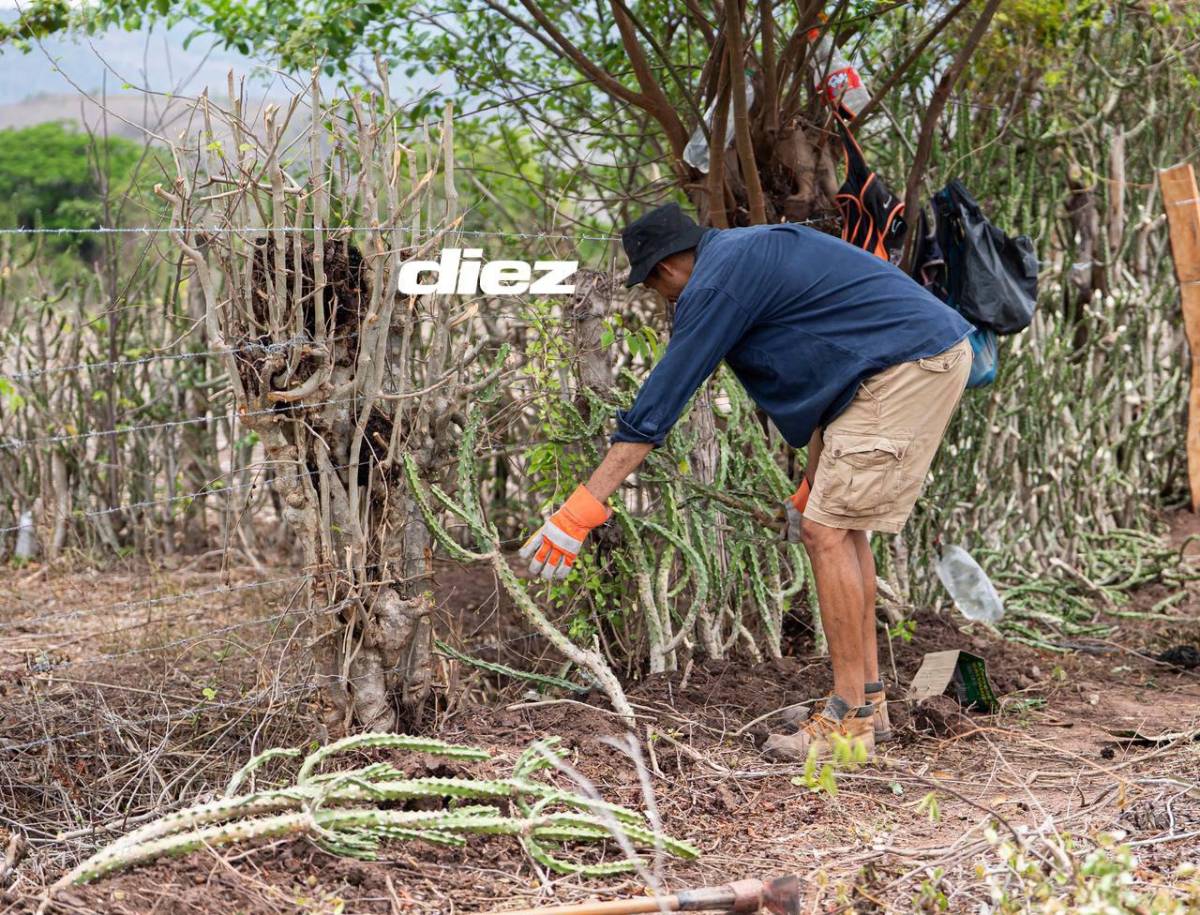 La humilde vida de Getsel Montes en el campo: Fútbol, ganadería y agricultura