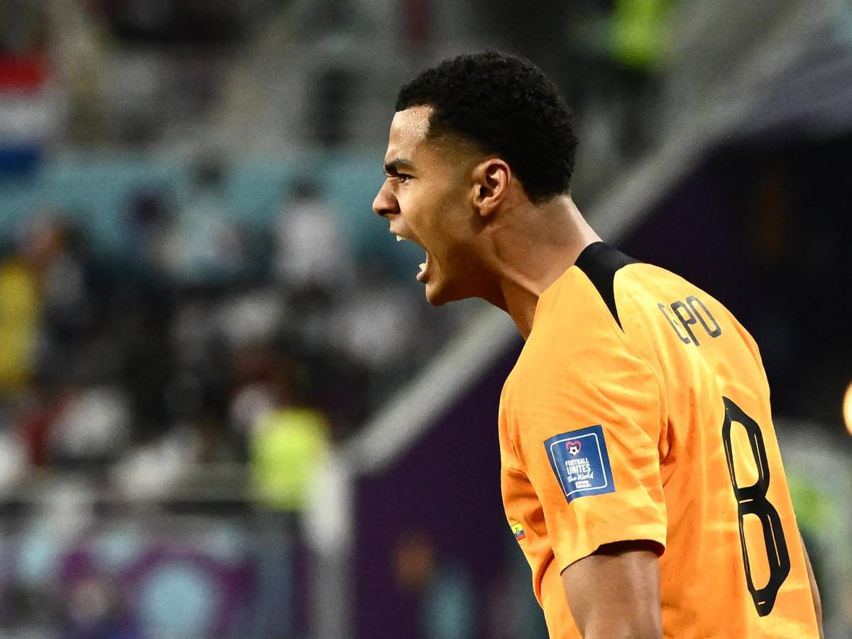 Países Bajos y Ecuador se reparten un punto y definirán al líder del Grupo A en la última jornada en el Mundial de Qatar