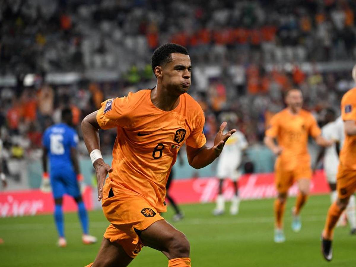 Con goles de Cody Gakpo y Klaassen, Países Bajos debuta con triunfo ante Senegal en el Mundial de Qatar