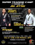 Si eres amante de las artes marciales mixtas, no te puedes perder estos eventos.