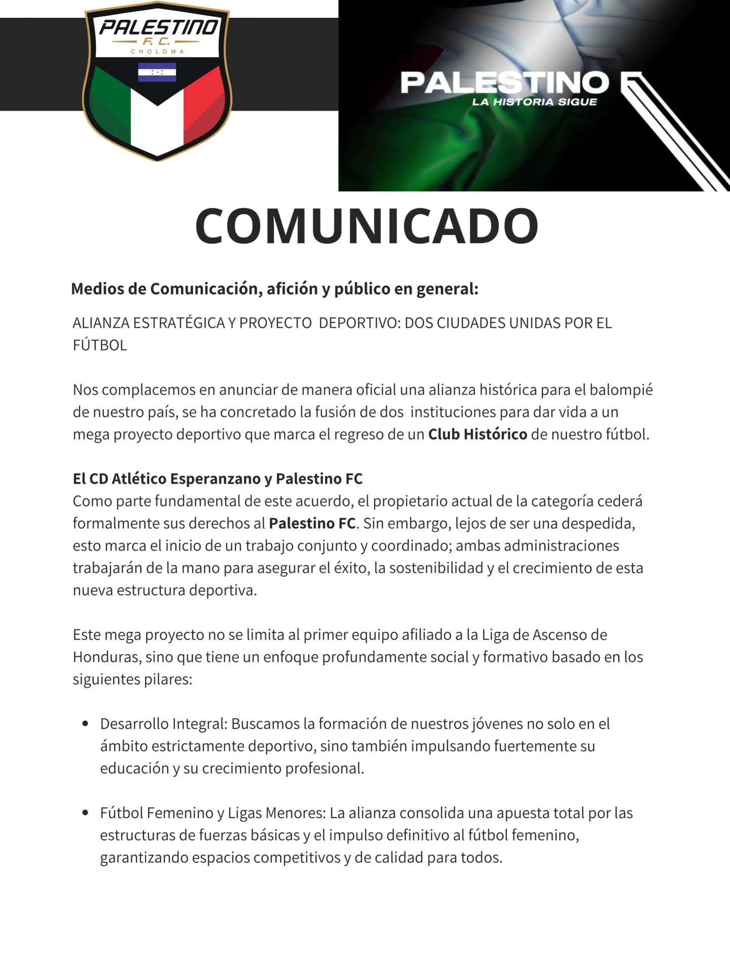 Palestino giró un comunicado en sus redes confirmando su regreso al fútbol profesional.