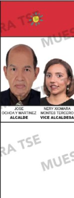 Los diez aspirantes a la alcaldía por el Distrito Central