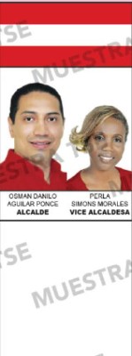 Los diez aspirantes a la alcaldía por el Distrito Central