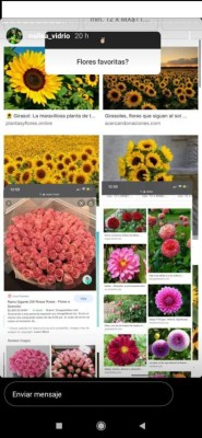 Las confesiones íntimas de Nailea Vidrio en Instagram: Por qué salió de Pachuca y lo que piensa de su cuerpo&nbsp;&nbsp;