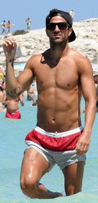 Fábregas deslumbra junto a su explosiva pareja Daniella Semaan de 38 años