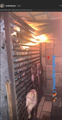 Así vivieron la navidad 2019 los legionarios hondureños, Choco Lozano con visita especial &nbsp;&nbsp;&nbsp;