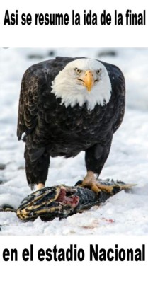 Los divertidos memes quen deja Motagua y Platense en la ida de la final