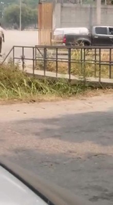 Las imágenes del Estadio Olímpico en este confinamiento por la pandemia de coronavirus