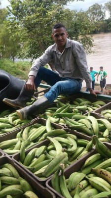 La otra profesión de los jugadores de Liga Nacional de Honduras