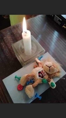 Memes: Liquidan a Alajuelense con burlas por no lograr su copa 30 en Costa Rica