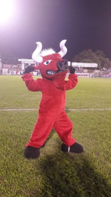 ¿Cuál te gusta más? Estas son las mascotas de los clubes de Centroamérica