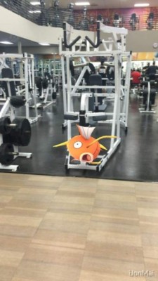 Los extraños lugares en los que han aparecido los Pokemon