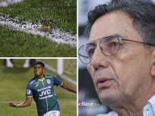 El extécnico de Lobos y Victoria atendió la rueda de prensa tras el clásico entre Real España-Marathón en el Olímpico. FOTOS: Neptalí Romero | Mauricio Ayala.