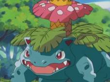 15: Venusaur: Pokemón Planta / Veneno