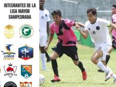 Rumbo a Liga de Ascenso: El equipo de Alberth Elis, Panteras FC conoce formato de cara a las departamentales de Liga Mayor de Honduras