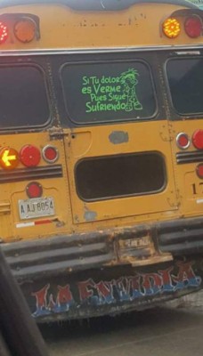 ¡Para morirse de la risa! Los insólitos mensajes que se ven en buses y taxis de Honduras