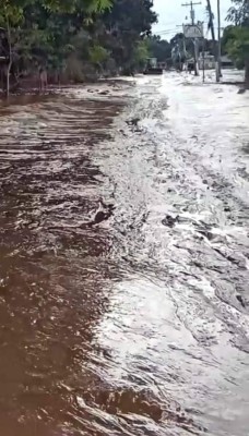 Qué terrible: La colonia en La Lima que quedó bajo el lodo tras el paso de ETA e IOTA