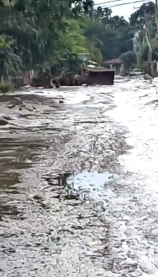 Qué terrible: La colonia en La Lima que quedó bajo el lodo tras el paso de ETA e IOTA