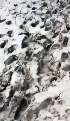 Qué terrible: La colonia en La Lima que quedó bajo el lodo tras el paso de ETA e IOTA