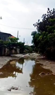 Qué terrible: La colonia en La Lima que quedó bajo el lodo tras el paso de ETA e IOTA