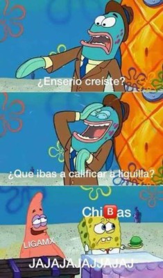 Los memes acribillan a Chivas por quedar otra vez eliminado en la Liga MX