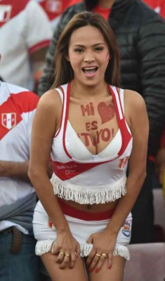 Ambiente previo al Chile-Peru