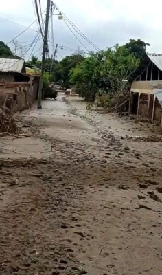 Qué terrible: La colonia en La Lima que quedó bajo el lodo tras el paso de ETA e IOTA