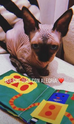 Lujos, el carro más rápido y animales exóticos: Así es la nueva vida de Cristiano Ronaldo en Italia