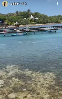 ¡Nadando con delfines! Así disfruta Alberth Elis en Roatán antes de sumarse a la Selección de Honduras