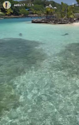 ¡Nadando con delfines! Así disfruta Alberth Elis en Roatán antes de sumarse a la Selección de Honduras