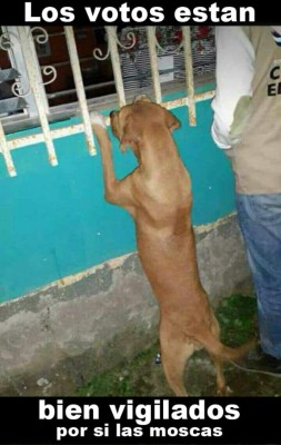 Los terribles memes que dejó la postergación de resultados presidenciales en Honduras