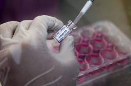 El voluntario participaba en los ensayos clínicos brasileños de la vacuna desarrollada por AstraZeneca y la Universidad de Oxford.