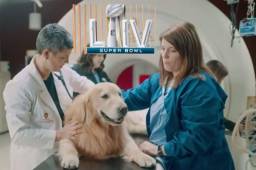 Un millonario compró un anuncio para su perro en el Super Bowl, luego de ser curado de cáncer.