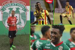 El Real España y Marathón, equipos de San Pedro Sula se han esforzado por darle oportunidad a los jóvenes y ya se ven los frutos.