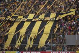 La directiva del Real España no quieren ver a nadie en el estadio Morazán con la camiseta del Marathón.