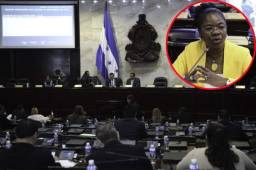 La diputada del Partido Nacional, Johana Bermúdez, sorprendió con la moción que ha generado mucha controversia en redes sociales. Fotos cortesía