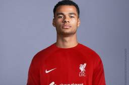 OFICIAL: Liverpool da bombazo y ficha a Cody Gakpo; las cifras del traspaso del neerlandés a la Premier League