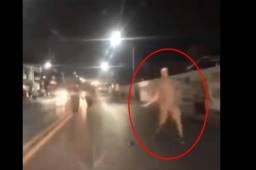 Se sucitaron actos violentos luego de la final de la Copa MX que ganó Cruz Azul.