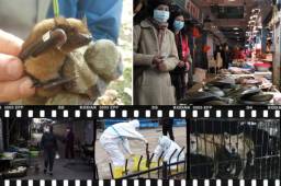 Lamentable: El Daily Mail reveló este domingo que la población regresó a sus puestos de trabajo para vender animales como consumo de alimentos.