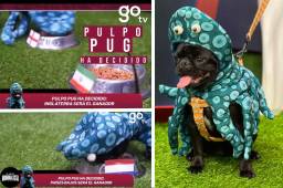 PulpoPug del Show Mundialista va perfecto en sus predicciones en Qatar 2022: así ha escogido a los ganadores