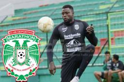 Arboleda aún no tiene claro cuál será su futuro, si continuará en Marathón o irá a otro equipo. Foto: Neptalí Romero.